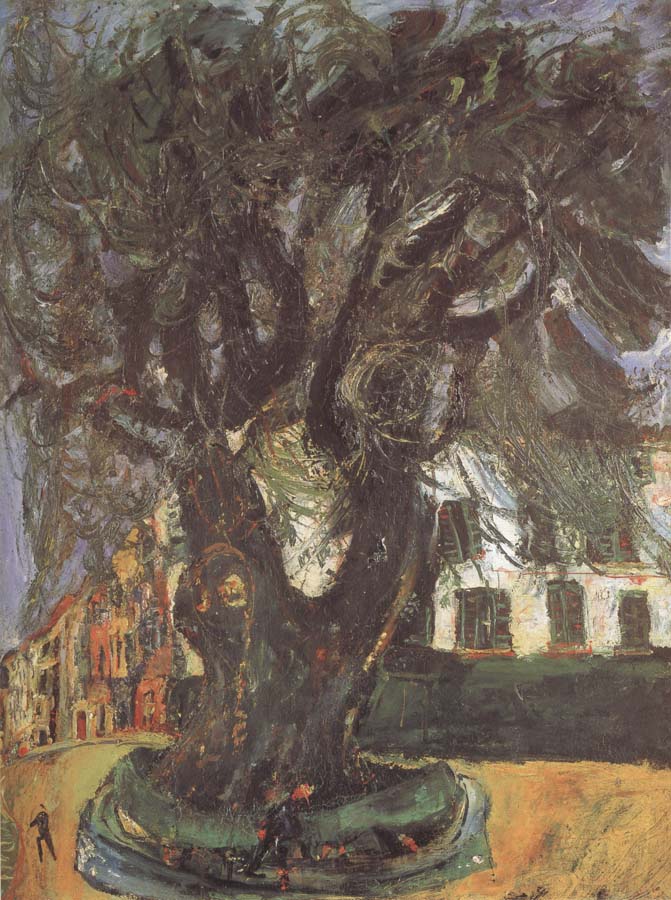 The Tree of Vence